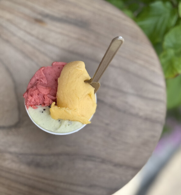 GELATERIA ACQUOLINA photo 5