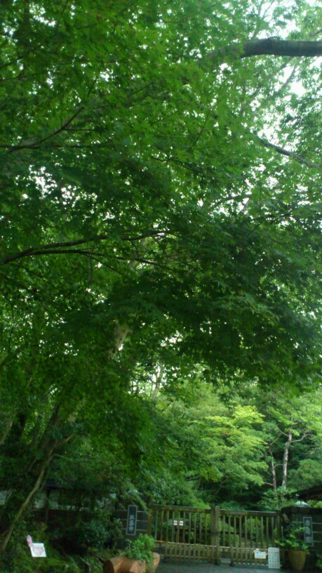 だんらん name=