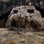 Disney’s Animal Kingdom Lodge - 