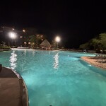 Disney’s Animal Kingdom Lodge - 