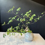 虎屋菓寮 - 投げ入れ花