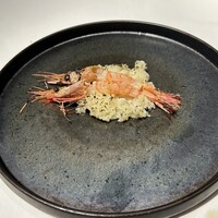 ヤマガタ サンダンデロ - 