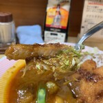 リッチなカレーの店 アサノ - 