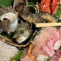 土佐料理 司 高知本店 - 