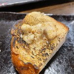 アカミヤコウシ - 