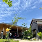 Cafe みかんの木 - 