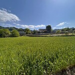 ゆばカフェ紫水庵 - 