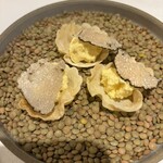 ヴォーロ・コズィ - 