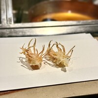 天ぷら 銀座おのでら 東銀座店 - 