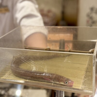 天ぷら 銀座おのでら 東銀座店 - 
