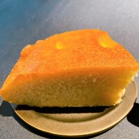 セルサルサーレ - 