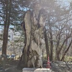 中の湯温泉旅館 - 