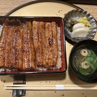 うなぎ 目白ぞろ芽 - 