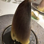 ヤマガタ サンダンデロ - 巡ってきた山の風景