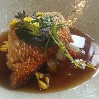 MAISON LAFITE - 