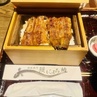 にょろ助 銀座 - 