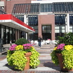 Black Sheep Restaurant & Bar - 駅前