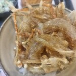 ゆで太郎 もつ次郎 - かき揚げごはん