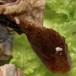 金陵 - あひる　皮と脂