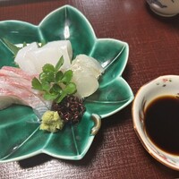 山茶花 - 