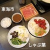 しゃぶ葉 東海南加木屋店
