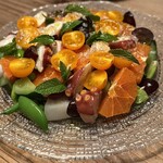 テッラ イタリアーナ - 