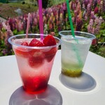 鹿沼花木センター 売店 - ドリンク写真: