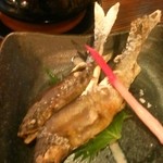 居酒屋 みこし - 天然アユ塩焼き