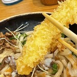 うどん日和 - 肉盛り温ぶっかけうどん、海老天2尾