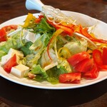 紅緒 - 豆腐のサラダ