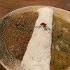 麻布十番 薬膳カレー 新海 - 料理写真:⑥2種盛りカレー