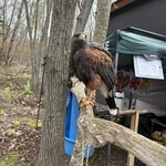 カフェランチストア ホーホー - 