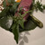 L'ombra - 料理写真: