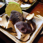 居酒屋 ゆうちゃん - しいたけ使用後