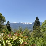 かたせ手打そば - 