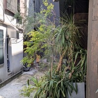 神楽坂焼肉 Kintan - 