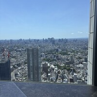 天空の庭　星のなる木 - 