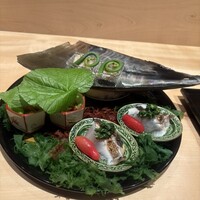 翠 岡﨑 - 