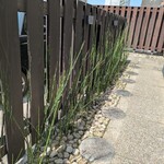 抹茶さろん ひとこと - 