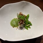 リョウリヤ ステファン パンテル - 