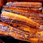 鰻の成瀬 - 料理写真:このウナギ量！