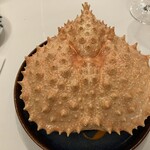 anchoa - カニの甲羅の下には・・・