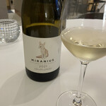 anchoa - コヨーテラベル可愛い