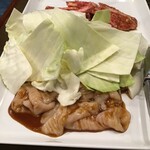 テッチャン（シマチョウ）