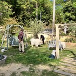 ゴンゴン ガーデン - 