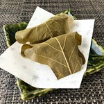 まるに抱き柏 - 