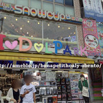 スノーカップ - 