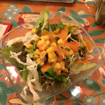 ヴェジハーブサーガ - 2014.6 ランチサラダ