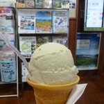 Michi No Eki Makino Ossakatouge - ジェラート　マキノ茶　300円