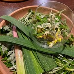 さくら京屋 - ◇山のもの山のもの
      蓮 空豆 アスパラ お茶の葉 うど